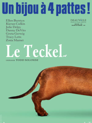 Affiche du film Le teckel